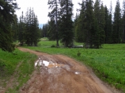 puddle