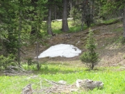 snow_patch