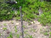 western_fork_sign