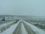 across_big_red_park