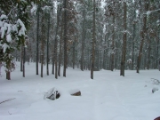can_barely_see_the_trail