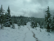 finding_the_trail