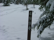 forest_service_road_499