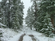 getting_snowier