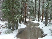 line_of_puddles