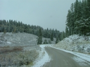 mellow_trail_beginnings