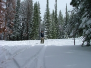 mike_route_finding