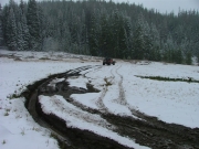 monica_through_the_mud_bog_part_1