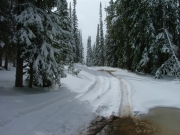 mud_and_snow