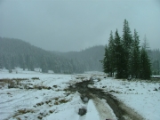 mud_bogs