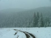 muddy_tracks