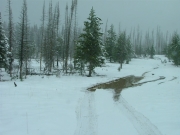 puddle