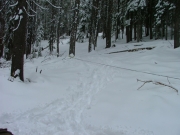 snatchblocking_the_big_tree_part_1