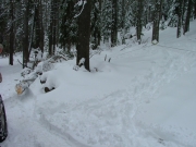 snatchblocking_the_big_tree_part_2