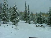 snowy_trail