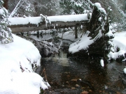 stream