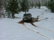 walt_through_a_puddle