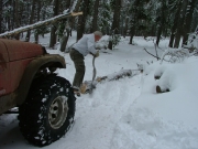 walt_working_on_the_big_tree_part_1