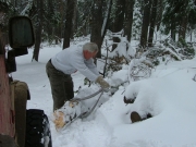 walt_working_on_the_big_tree_part_2