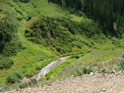 green_gulch