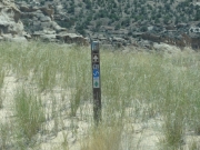 blm_sign