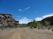 wide_trail