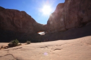 eye_of_the_whale