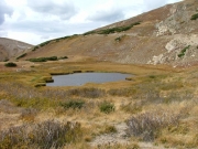 alpine_pond