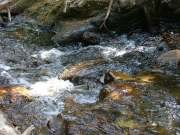 mountain_stream_part_4