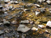 river_rocks