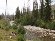 agnes_creek