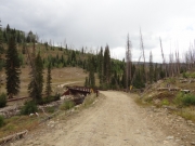 agnes_creek_bridge_part_1