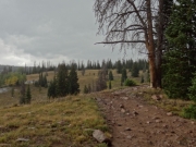 at_timberline