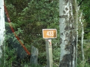 forest_service_sign