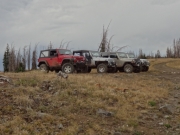 jeeps