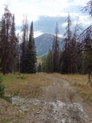 mountain_view