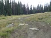 rocks_in_the_trail