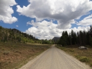 seedhouse_road