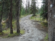 slippery_hill