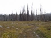 soggy_trail