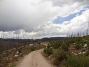 through_the_burn_area
