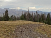 trail_with_a_view