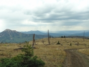 trail_with_hahns_peak_in_sight