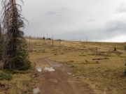 up_farwell_mountain