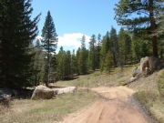 scenery