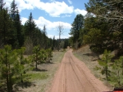 straight_trail
