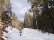 trail_part_4