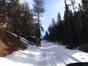 snowy_trail