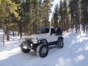 roger_on_the_trail