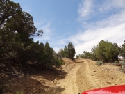 little-used_trail